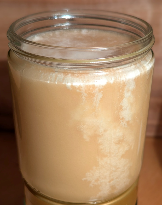 Bl&uuml;tenbildung im Honigglas